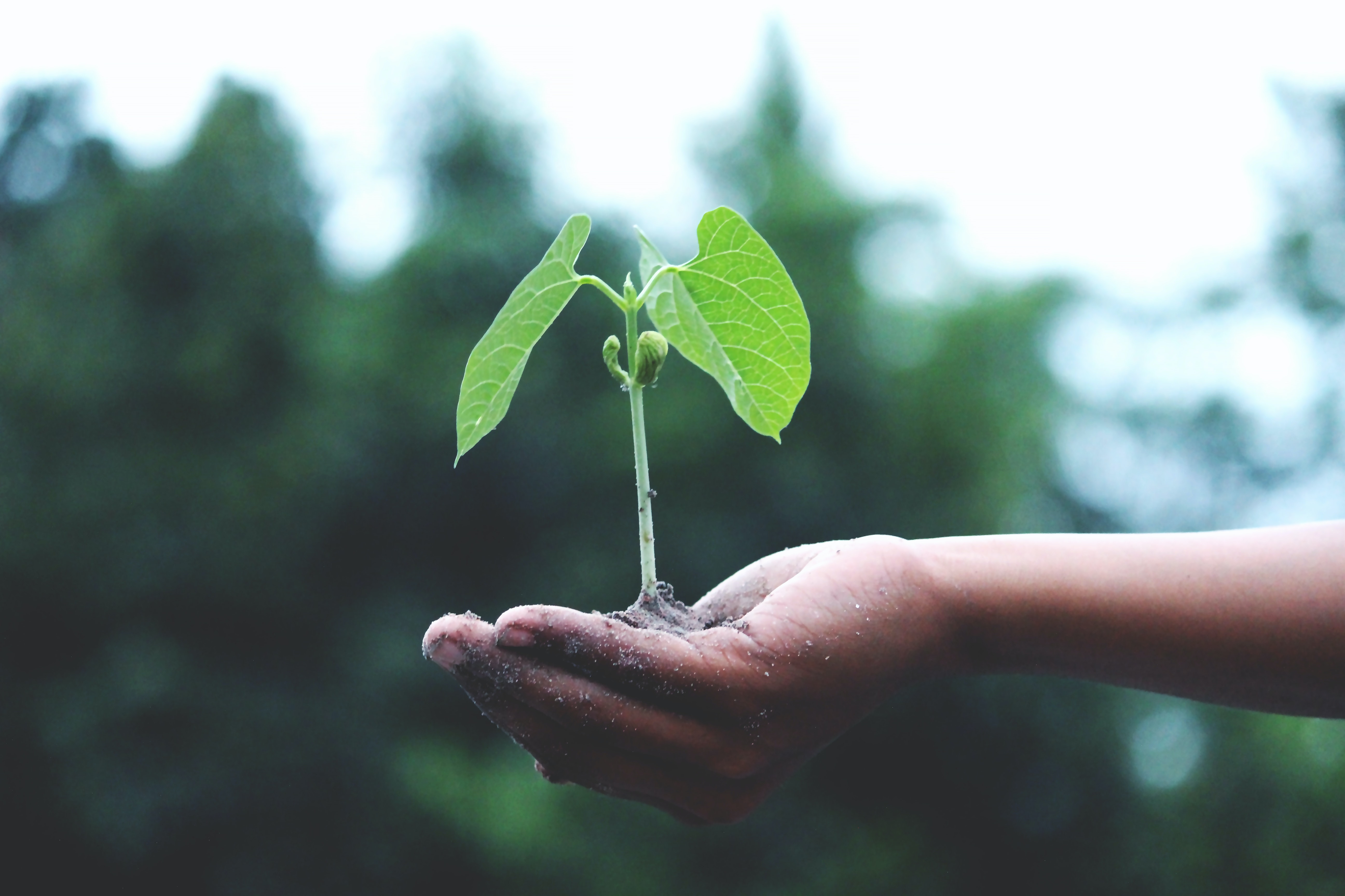 Diversity and Inclusion per la transizione energetica e lo sviluppo sostenibile